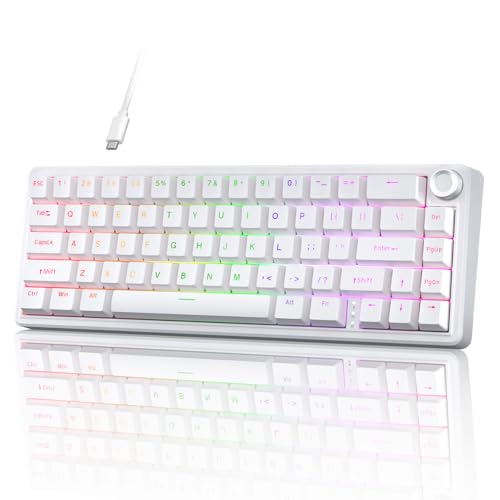 TMKB Technology Mechanical KeyBoard TMKB T68E 60% 有線 ゲーミング メカニカルキーボード RGB バックライト ホットスワップ ガスケットマウント 滑らかな打ち心地 工場潤滑済 德語配列 ブルーベリースイッチ ホワイト