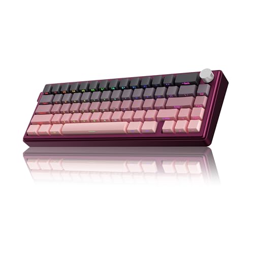 Hexgears Kutethy KY67 ワイヤレスゲーミングキーボード、スケルトンアルミニウムシェル/ガスケットマウント/65%レイアウト/2.4GHz/Type-C/BT5.0/熱昇華PBTキーキャップ、カスタムゲームメカニカルキーボード(Kailh Box Bamboo Switch)