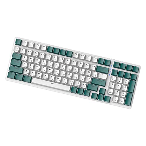 TASDDE ロシア製メカニカルゲーミングキーボード 100 キー、人間工学、RGB、バックライト、USB 有線プラグアンドプレイ、耐久性、ポータブル、PC ラップトップ用 98% 割り当て、スタイル C/1388