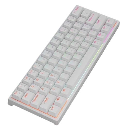 HtptxQsdk 61 キー USB ゲーミングメカニカルキーボード赤スイッチ有線取り外し可能な RGB バックライトホットスワップ MUCAI MK61 と互換性(MK61-BAI) HtptxQsdk960