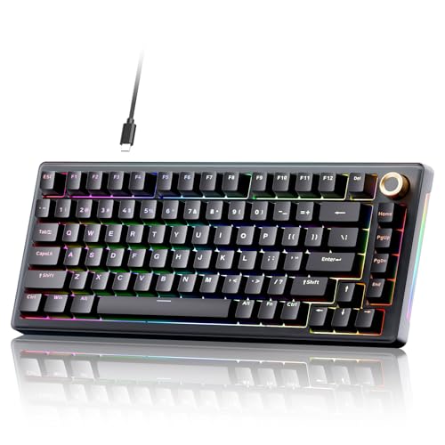 TMKB Technology Mechanical KeyBoard TMKB T81E メカニカルゲーミングキーボード 75%ガスケットマウント 有線キーボード ノブ&5層サウンドダンピング付き ホットスワップ対応 RGBバックライト 82キー Windows/Mac/Linux用 ブラック