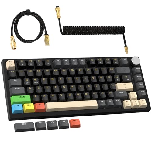 MAMBASNAKE ×ATTACK SHARK K85 ラピッドトリガー キーボード 有線 75% RGB マグネット ゲーミングキーボード + コイルケーブル + PBTキーキャップ 磁気メカニカルゲーミングキーボード ストローク調整可能 TKL ゲーミング US 配列 82キー アンチゴースト ガスケット構造 専用メディアコントロール アルミニウム合金ノブ ケーブル- スターブラック