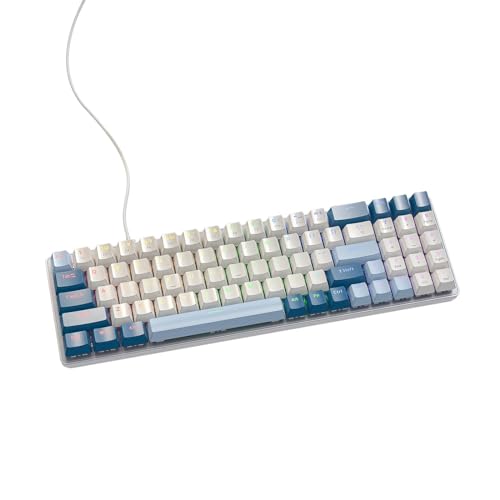 HISYI K65 ホットプラグキーボード ゲーミングメカニカルキーボード ゲームキーボード 78キー 11照明モード ブルースイッチ ゲーミングキーボード 人間工学デザイン ブルーベリー