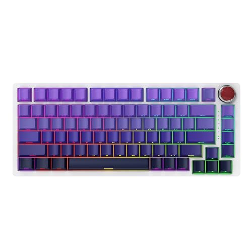 MechLands Vibe99 ワイヤレス ゲーミングキーボード 96% スクリーン 付き 100キー ガスケット メカニカルキーボード ホットスワップ対応 無線キーボード BT5.0/2.4GHz/USB-C 5層パッド RGB NKRO Win/Mac用 (ブルー)