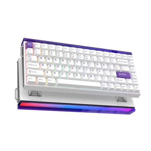 MechLands Aula Hero84 HE 有線磁気ゲーミングキーボード ラピッドホール効果キーボード0.01mm 調整可能アクチュエーション 8kHz ポーリング 5 層サウンドダンパー RGB ライトボックス & バックライト付き (White Purple)