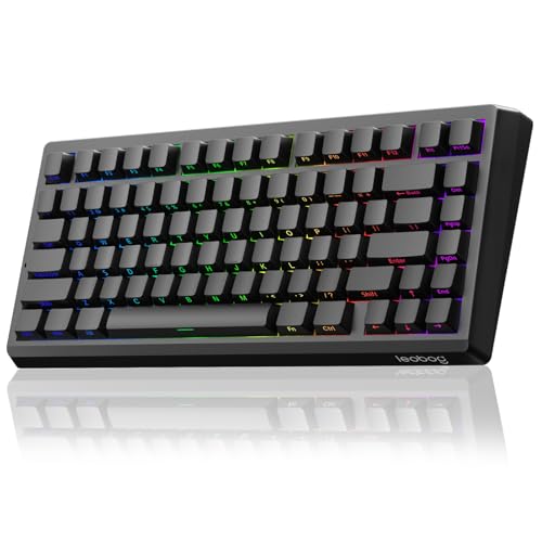 Strikonx LEOBOE A80 RT ホールエフェクト ゲーミングキーボード 有線 ラピッドトリガー磁気スイッチキーボード 0.01mm RT調整可能作動 8000Hz ポーリングレート RGBバックライトメカニカルキーボード 75% PCゲーマー用