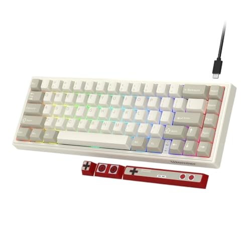 HEZM V-K66 60 パーセントメカニカルゲーミングキーボード有線ガスケット搭載ホットスワップ LED バックライト付きコンパクトデザイン矢印付きほとんどのシステムと互換性(VK66 RETRO B) HEZM(ンヤ)111