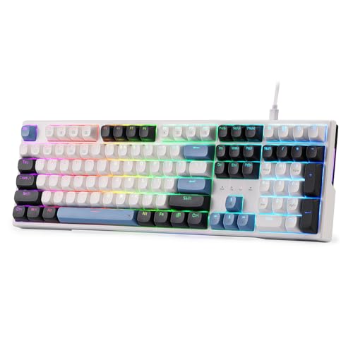 Redragon K668 有線ガスケット RGB ゲーミングキーボード 108キー メカニカルキーボード ホットスワップ対応ソケット 吸音フォーム ミックスカラーキーキャップ カスタムリニアスイッチ