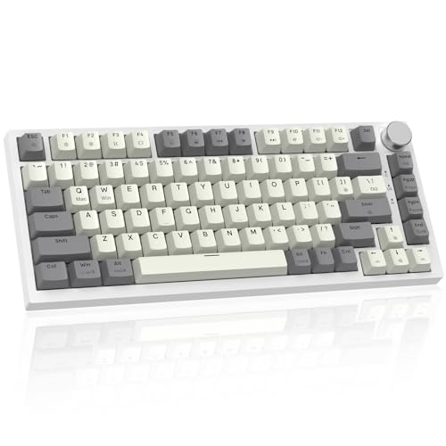 MAMBASNAKE K85 ゲーミングキーボード グレー