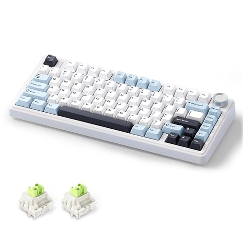 MOLGRIA x Aula F75 ゲーミングキーボード トリプルモード接続 75%メカニカルキーボード 南向きのRGBバックライト付き シャインスルーホットスワップ可能なキーキャップとノブ(ブラックコンターライン)