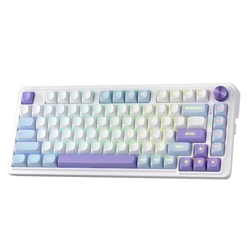 REDRAGON K673 MAX 75% ワイヤレスガスケット RGB ゲーミングキーボード 3モード 81キー PBT コンパクトメカニカルキーボード ホットスワップソケット付き 専用ノブコントロール 5層ノイズ減衰 カスタムリニアスイッチ K673 PRO