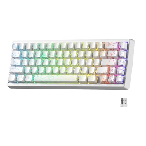 HITIME x XVX M67 ワイヤレス 60% キーボード QMK/VIA ゲーミングキーボード トライモード トッキー クリーミー メカニカル キーボード ホットスワップ可能 ガスケットマウント RGB IMD Tech Win/Mac用 スパイダーウェブテーマ ホワイト xh-M67WX-Z-b