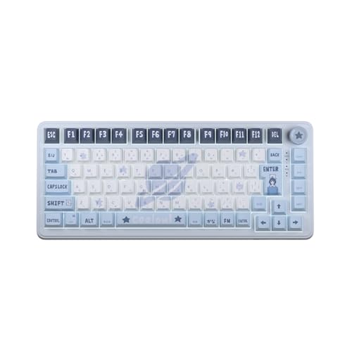 AIM1 瞬 ラピッドトリガー ゲーミングキーボード 日本語配列 75%サイズ ポーリングレート8000Hz対応 0.01mm MATATAKI coalowl COAL3001A1JIS