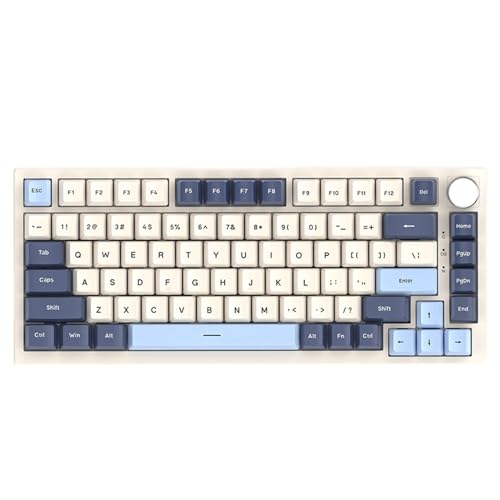 xbiez ゲーミングメカニカルキーボード RGBバックライト 82キーコード付きオフィスキーボード プログラム可能なキーボード コンピューター/ノートパソコン用 82キーキーボード オフィスキーボード 軽量キーボード 省スペースキーボード