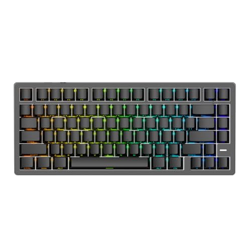 IROK Mars75 有線磁気スイッチキーボード 75%レイアウト 0.001MM RT精度 8KHZポーリングレート/レイテンシー 0.125MS/256KHZ シングルキースキャンレート/ARGB、ホットスワップ可能なゲーミングキーボード(ブラック)