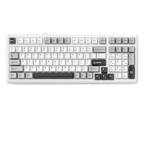 MOLGRIA Aula F99 Cherry Profile メカニカルキーボード トリプルモード接続 RGB バックライト付きゲーミングキーボード テンキー付き ゲームやオフィス用 (白地にグレーとブラック)