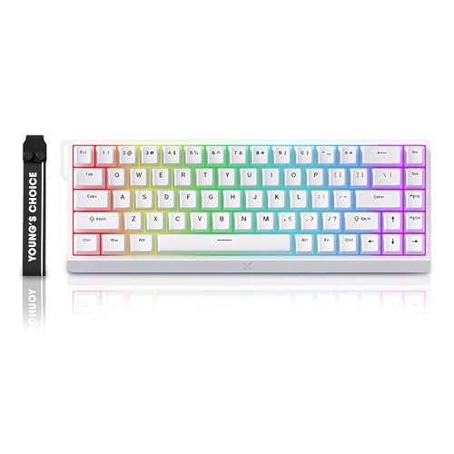 JOMKIZ MCHOSE ACE 68 有線磁気スイッチ メカニカルゲーミングキーボード ラピッドトリガー ホール効果キーボード60% 超高速調整可能作動 8K Hzポーリングレート RGB ホットスワップ PC/Mac用 ホワイト