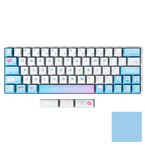 NAANSI 【国内正規代理店】 Sikakeyb Castle HM66 ゲーミングキーボード ラピッドトリガー 搭載 US配列 有線 Keyboard 調整可能な アクチュエーションポイント 最短 0.01ｍｍ Type-Cケーブル 66キー マグネットスイッチ ポーリングレート8000Hz RGBバックライト 英語配列 低遅延 【オリジナルクリーニングクロス付 国内正規品】