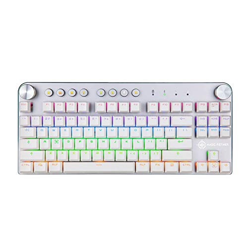 ZhaoGangLi ゲーミングキーボードメカニカルゲーミングキーボード有線USBおよびワイヤレスBT3.0RGBバックライト切り替え可能87キーコンピューターゲーマー用ゲーミングキーボード仕事用 ゲーム用 Windows Mac OS対応 在宅勤務 (Size:One Size; Color:#2) SGK8021VRS2