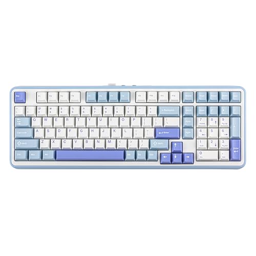 EPOMAKER TH99トライモードワイヤレスメカニカルキーボード ホットスワップ対応カスタム キーボード テンキー付きRGBゲーミングキーボード ガスケットクリーミーキーボードPC/Mac/オフィス/ゲーム用 技適認証取得 (Blue&White, Creamy Jade)