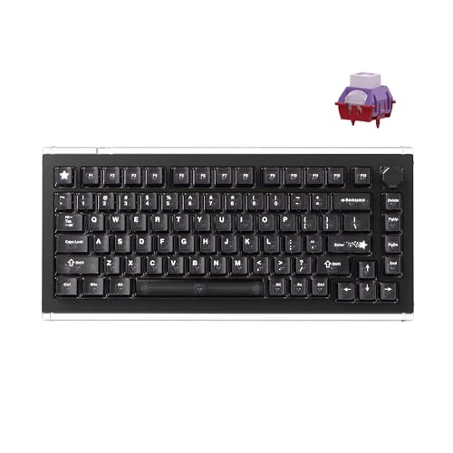 DrunkDeer A75 Master ラピッドトリガーキーボード eスポーツゲーミングキーボード 磁気スイッチ 調節可能な作動 - RT Plus - RTマッチ 0.01mm 8K Hz 75%デザイン - ANSI ブラック - TTC POMスイッチ