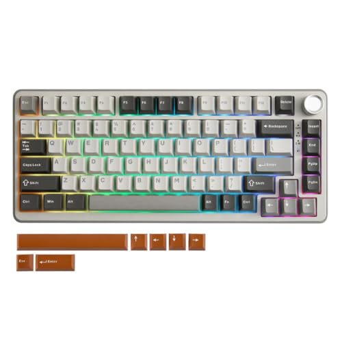 PaVzeGzrH ワイヤレス メカニカル ゲーミング キーボード 82キー ガスケット ホットスワップ カスタム RGB 75% BT Type-C 2.4G クリーミーノブ B75 PRO対応 (グレー) PaVzeGzrH128