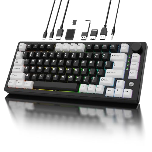 Sequin XQT スパンコール XQT FH75 アルミニウム メカニカルキーボード USB-Cハブ付き 指紋リーダー Windows 10/11 Hello用 75%ゲーミングキーボード USB-C ドックステーション 4K HDMI USB 3.0 PD100W トリプルモード アルマイトブラック