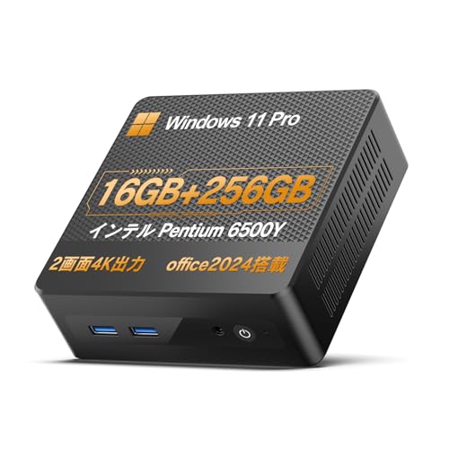 B41Y16256 Pentium Gold 6500Y 16GB 256GB