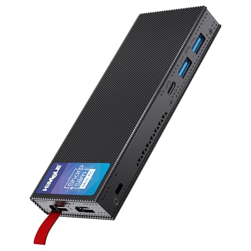 PCHD29 N100 8GB 256GB