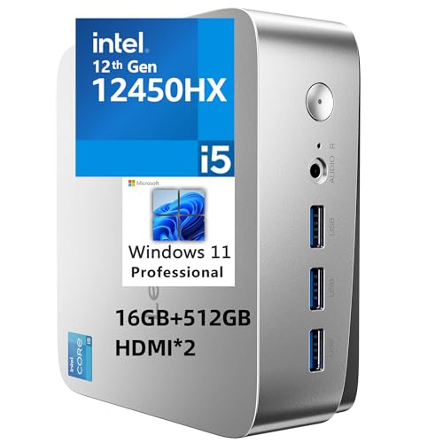 LP5C Core i5-12450HX 16GB 512GB