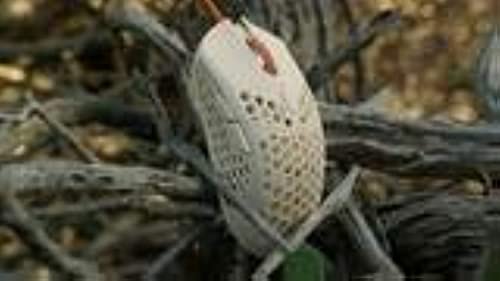 finalmouse Ultralight 2 - Cape Town USB ゲーミングマウス