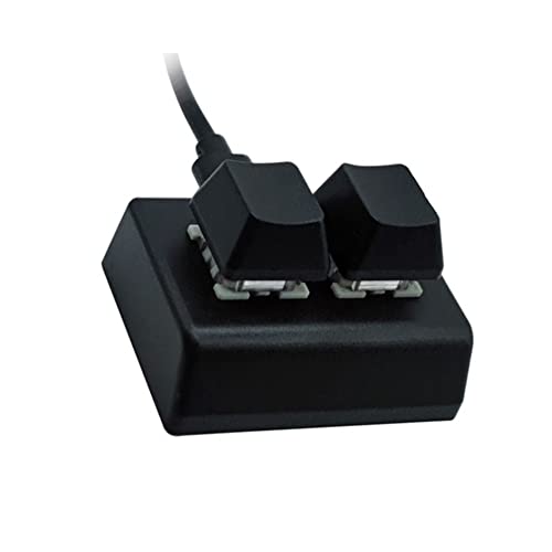 Wiseflexwia [Wiseflexwia] 2 キー マクロ プログラミング キーボード RGB ミニ キーボード ゲーミング ドローイング レッド スイッチ カスタム キーボード OSU ゲーミング キーパッド、ブラック