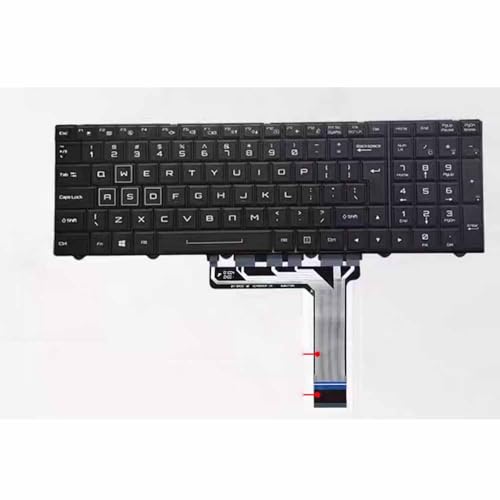 IIAYEMRQU For P775TM1 P775DM2 P775MDG2 ZX7ZX8GX7GX8 G155修理交換用ノートパソコン キーボードバックライト