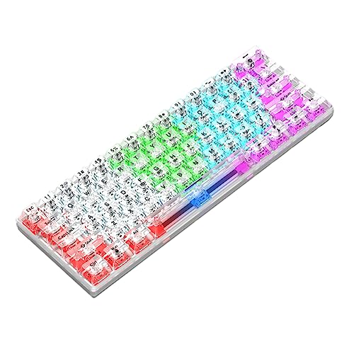 Mllepjdh 61キー ゲーミングキーボード フル透明 バックライト USBキーボード ノートパソコン デスクトップ コンピュータアクセサリー USBキーボード メカニカルゲーミングキーボード フルサイズキーボード