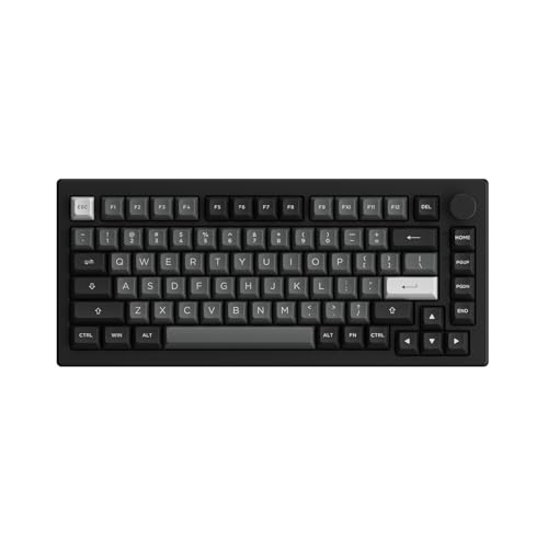 Akko 【国内正規品】Akko(アッコ) 5075B Plus Black&Silver 75%英語配列 USB / 2.4GHz / Bluetooth 5.0 ワイヤレス V3 Cream Yellow Pro 磁気スイッチ テンキーレス メカニカルキーボード ガスケットマウント構造 3000mAh バッテリー内蔵 RGBバックライト/サイドライト