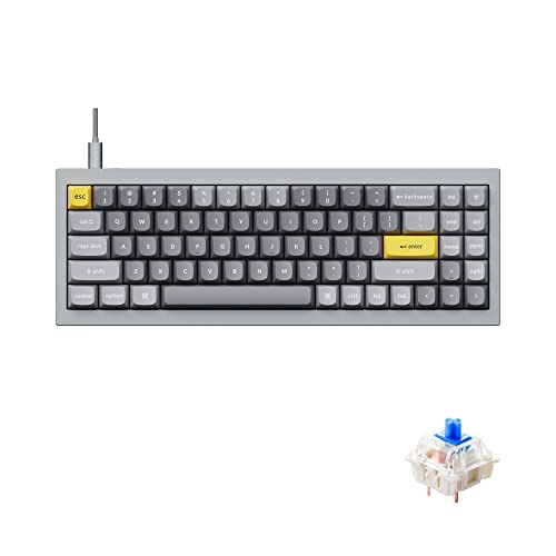 Keychron Q7 70%レイアウト ホットスワップ可能 RGB 有線カスタムメカニカルキーボード Mac Windows Linux対応 QMK/VIA プログラム可能 マクロ Gateron G Pro ブルースイッチ ダブルガスケットキット フルアルミニウムグレー Keychron Q7D2