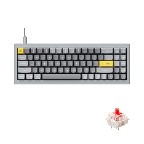 Keychron Q7 70%レイアウト ホットスワップ可能 RGB 有線カスタムメカニカルキーボード Mac Windows Linux対応 QMK/VIA プログラム可能 マクロ Gateron G Pro レッドスイッチ ダブルガスケットキット フルアルミニウムグレー Keychron Q7D1