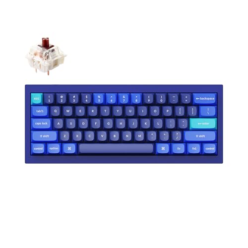 Keychron Q4 有線 カスタム メカニカル キーボード QMK/VIA プログラマブル マクロ フルアルミニウム ホットスワップ可能 Gateron G Pro ブラウンスイッチ 60%レイアウト ダブルガスケット MacとWindowsに対応 - ブルー
