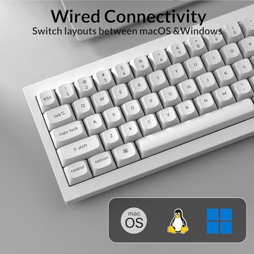 Keychron Q4 有線 カスタム メカニカル キーボード QMK/VIA プログラマブル マクロ フルアルミニウム ホットスワップ可能 Gateron G Pro Red Switch 60%レイアウト ダブルガスケット MacおよびWindows対応 - ブルー