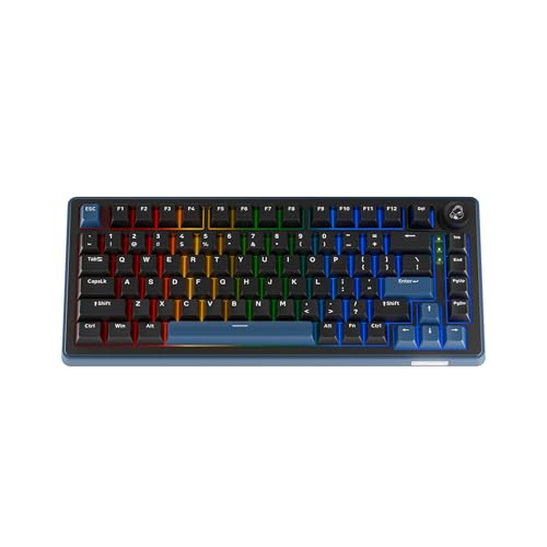 Ducky OK-M-75 メカニカルキーボード/ブラックブルー/US/ベビースイッチ