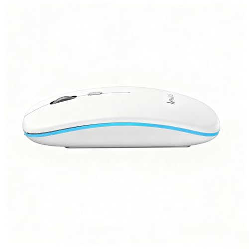 Vootic ワイヤレス マウス Bluetooth 超軽量 Type-C充電 節電モデル 小型 軽量 人間工学設計 3DPIモード 高精度ターゲティング 無線マウス 多機種対応 S3-1