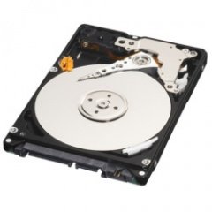 WESTERNDIGITAL WD5000BPVT