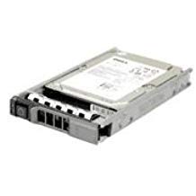 BLUETECH CWHNN Dell 300-GB 6G 10K 2.5 SP SAS w/G176J