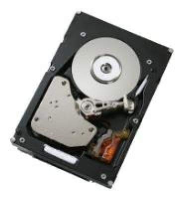 IBM 300GB SAS 15000 RPM 6GB 3.5インチ (更新済み)。 49Y1856-cr