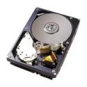 ウエスタンデジタル Western Digital 750GB Serial-ATA(3Gbps) 3.5インチ ハードディスク(WD7500AADS)