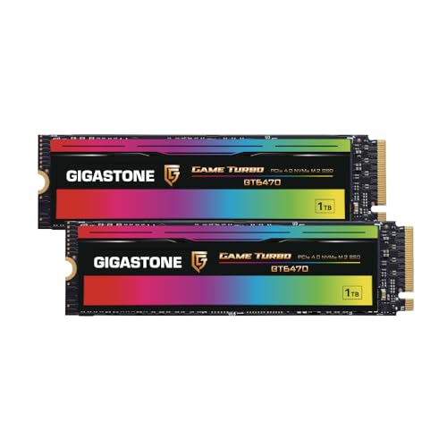 Gigastone M.2 NVMe 1TB｜GIGASTONE (2パック) Gen4 4.0x4 ゲーム向け 新型 PS5 PS5動作確認済み 読取り