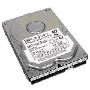 IBM 日本アイ・ビー・エム 750GB ホットスワップ 3Gb/s SATA HDD 43W7576
