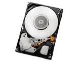 IBM 43W7630(1599) IBM 1TB 7200 デュアルポート SATA 3.5インチ HDD OPT