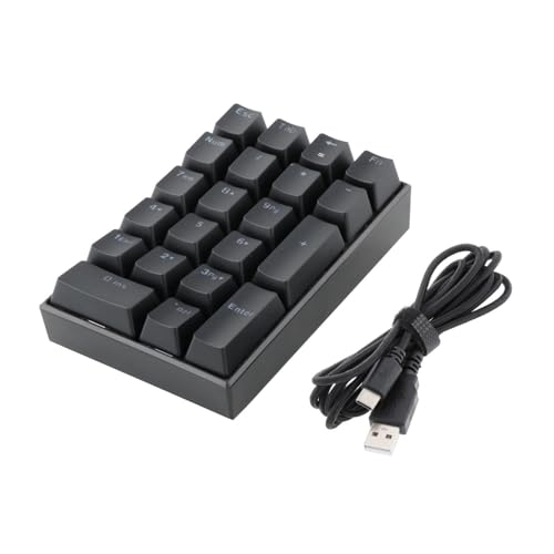Omenluck ミニ テンキー LED バックライト付き数字キーパッド USB C オフィス 家庭用 21 キー ps デザイナー ゲーム オフィス プログラミング ZXJP240907W205