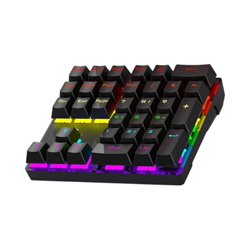 Rxgiasup 人間工学に基づいた 33 キー ホットスワップ可能なメカニカル数値キーパッド、滑り止めベース RGB バックライト付き USB 有線設計、会計タスクのプログラミング用 ホットスワップ可能なテンキー